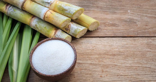 Histoire de la canne à sucre aux Antilles